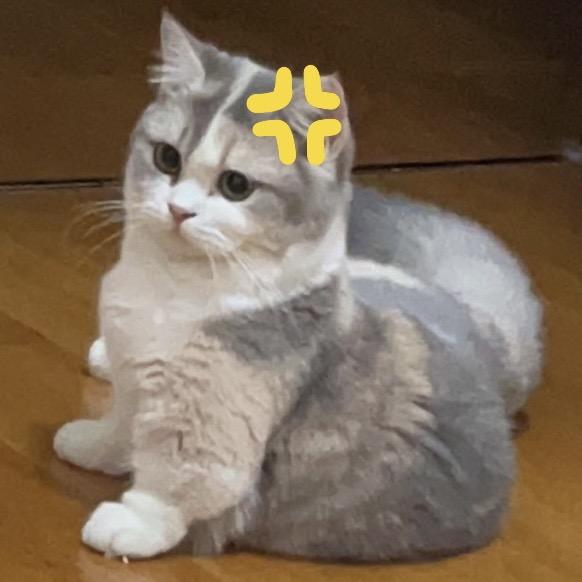 你的饭好香