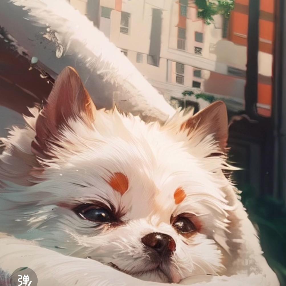 小南丶
