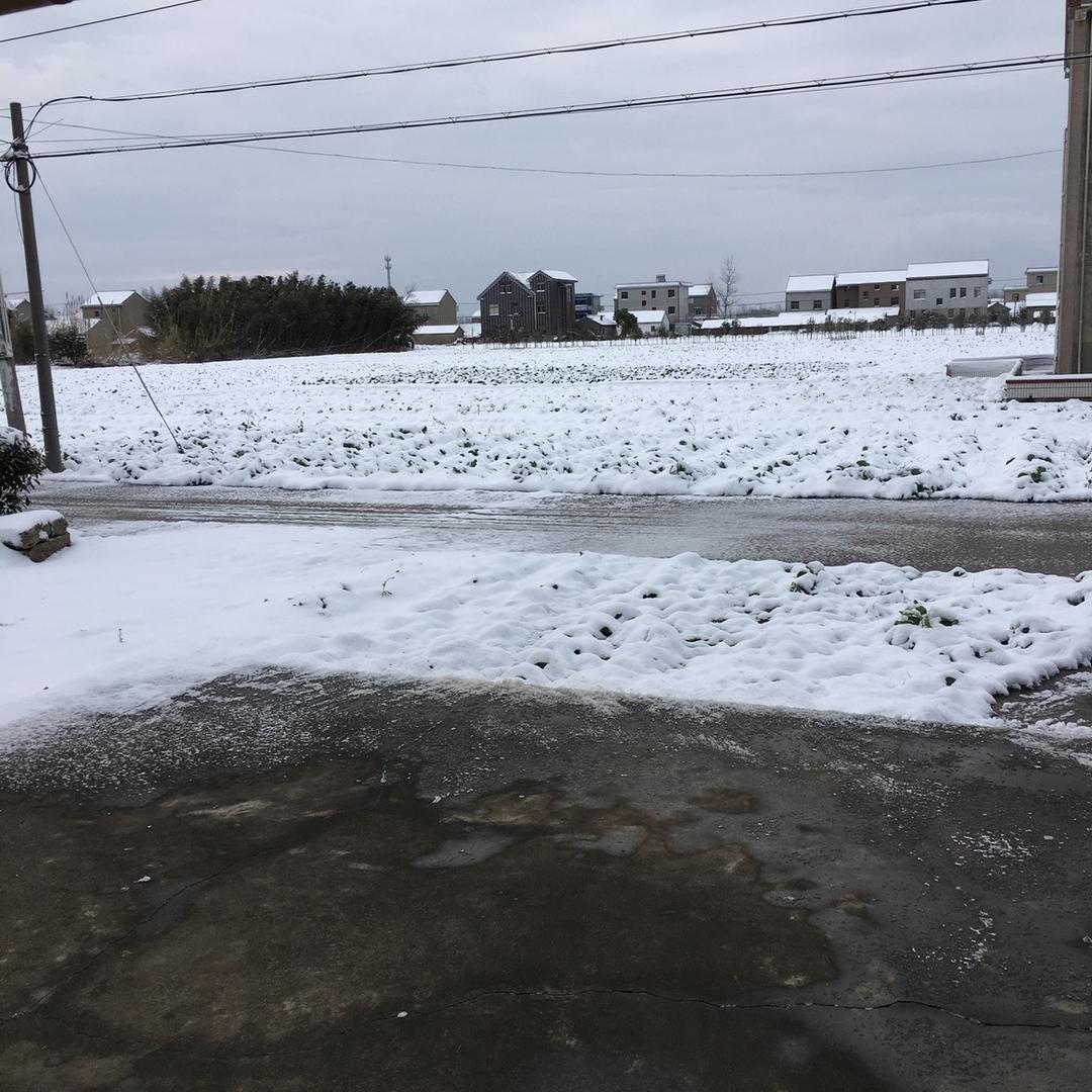 蘭花