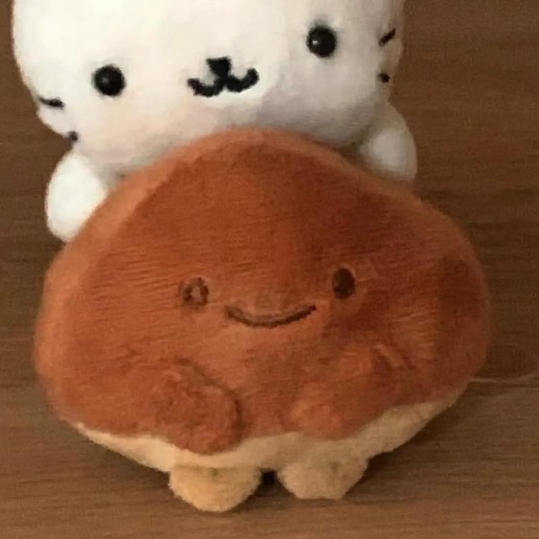 海苔控