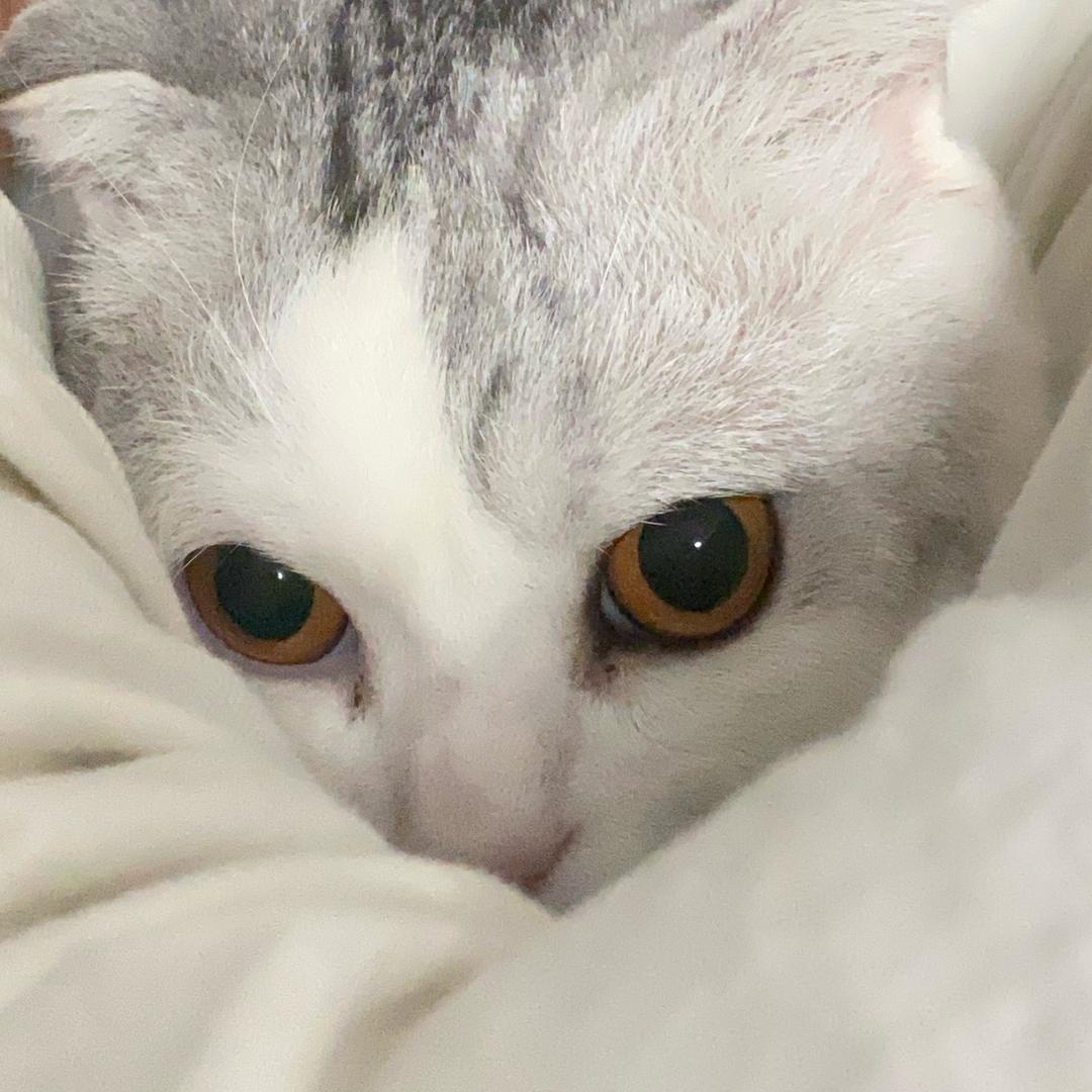 睡个好觉.