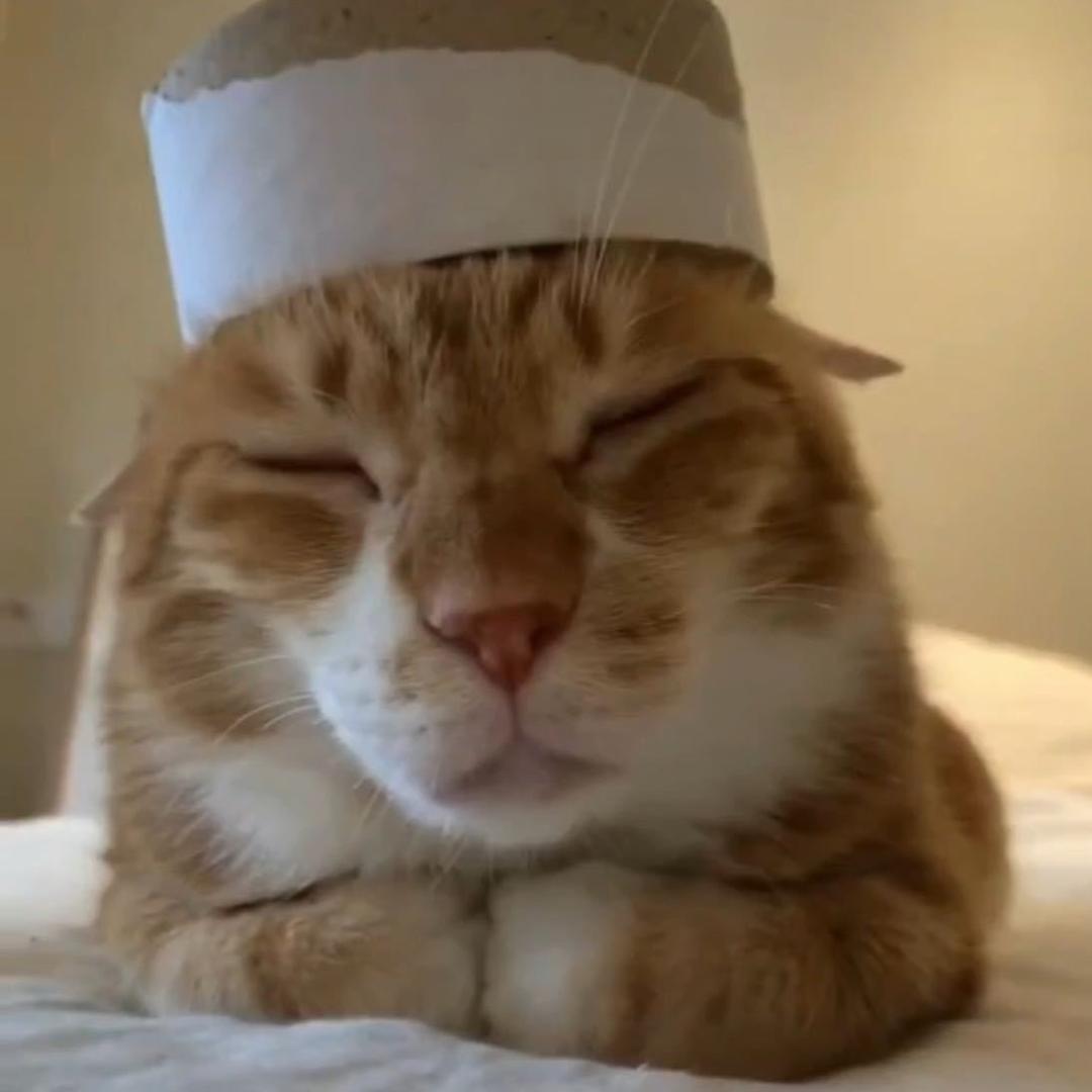 🍃Ye是一只魚🐟