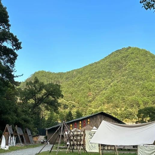 阿忠收山货