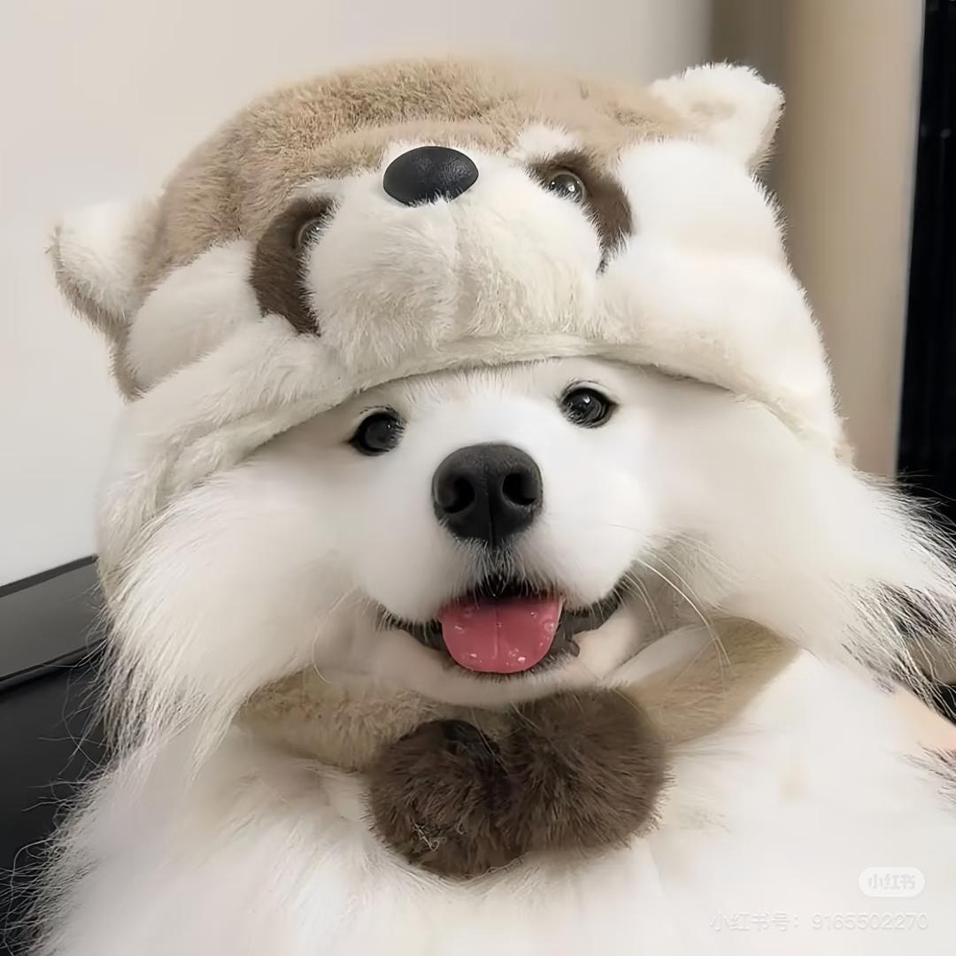 我不当恋爱脑