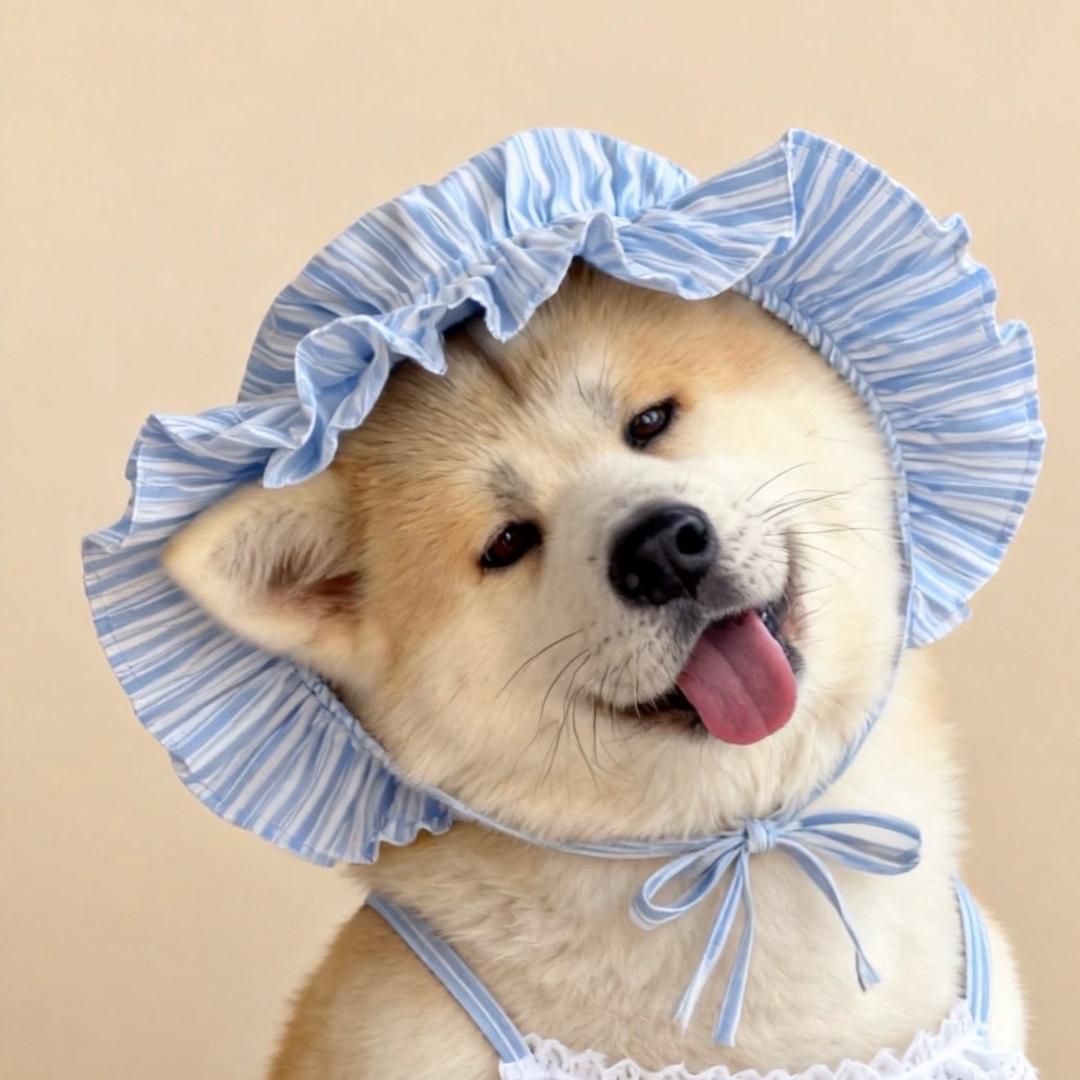 秋天又菜又爱玩