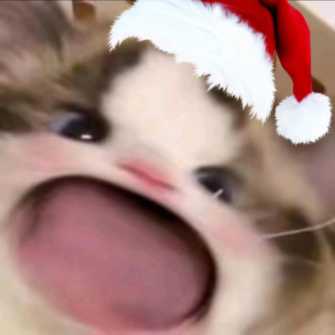 不入梦.
