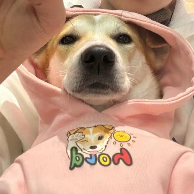 柚子呀