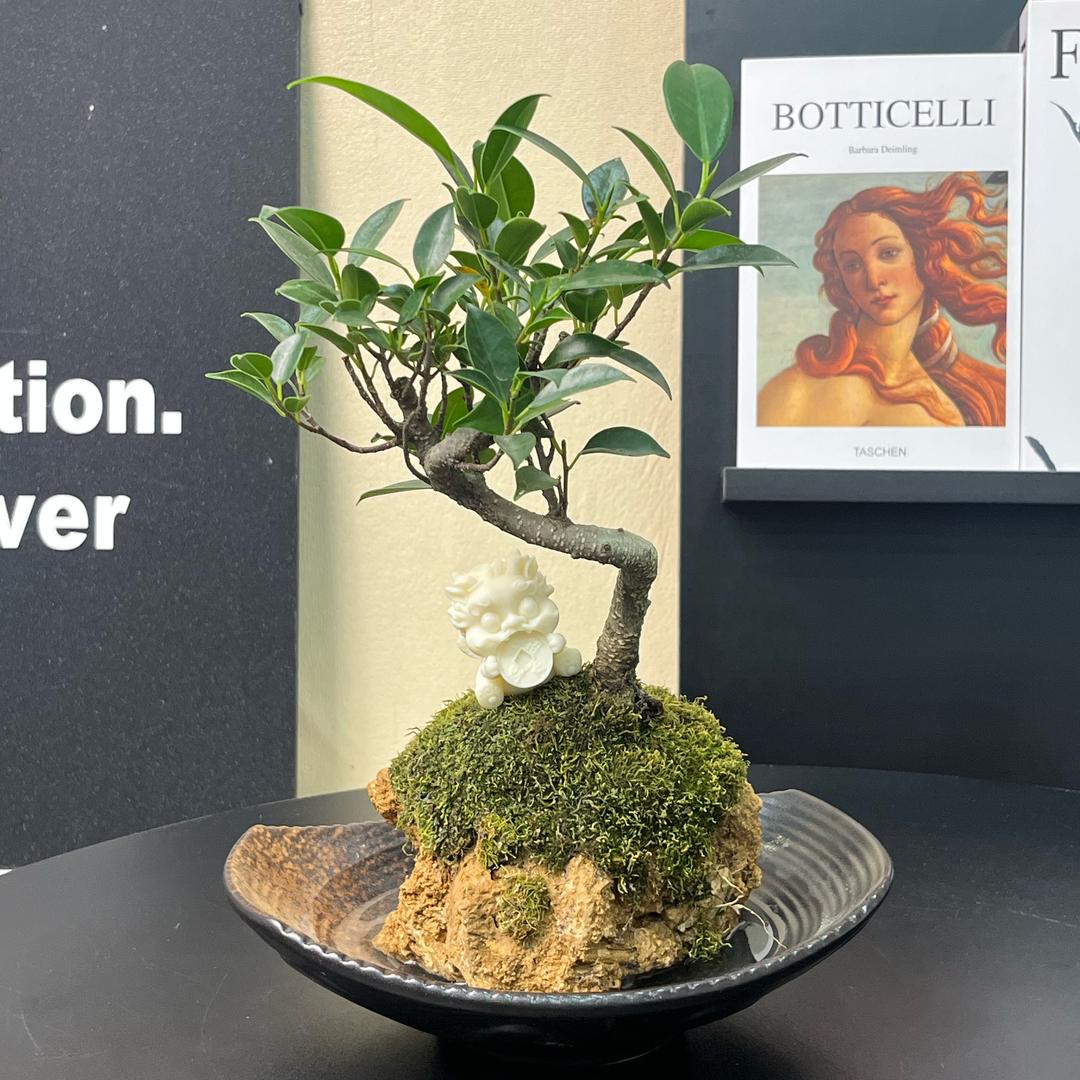 流氓村挨骂客服