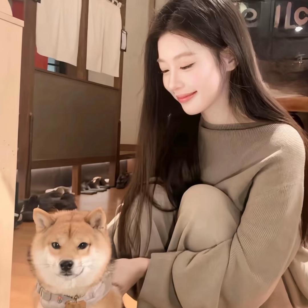 狐狸.