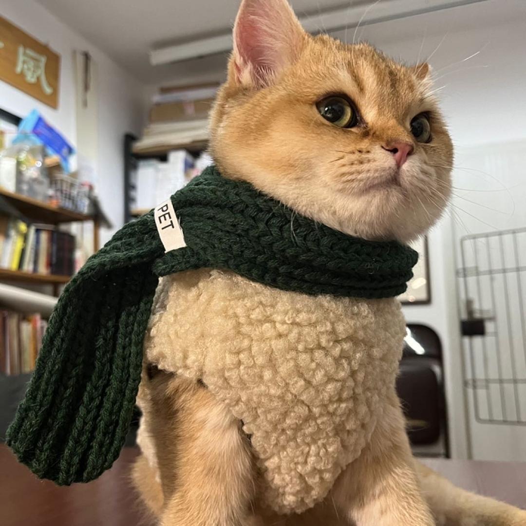 溜溜没