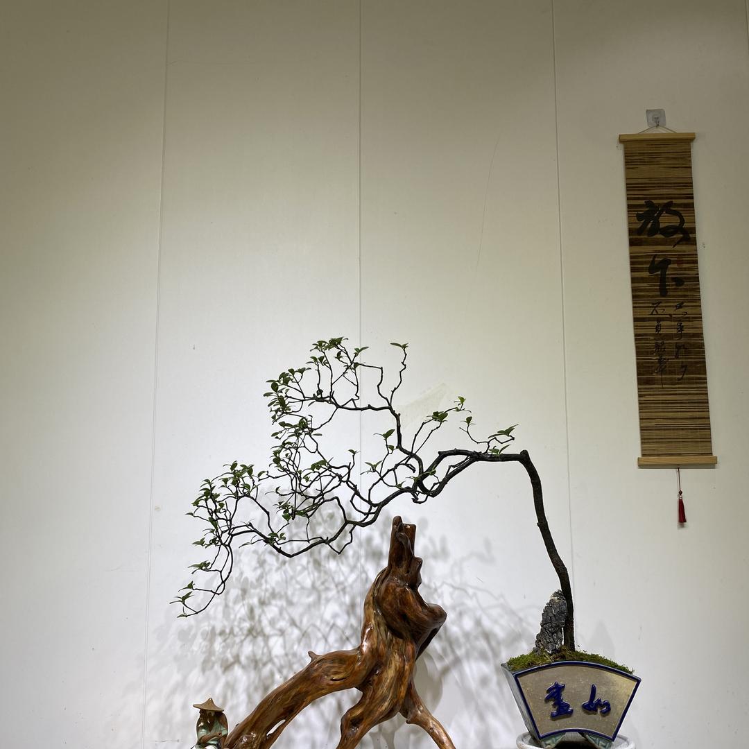 合山海岛春景园