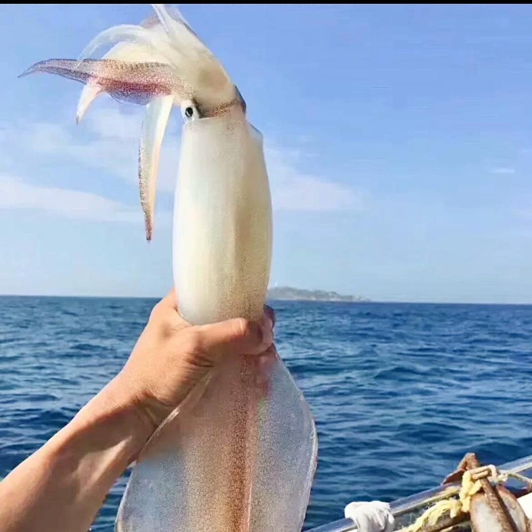 海边村海鲜