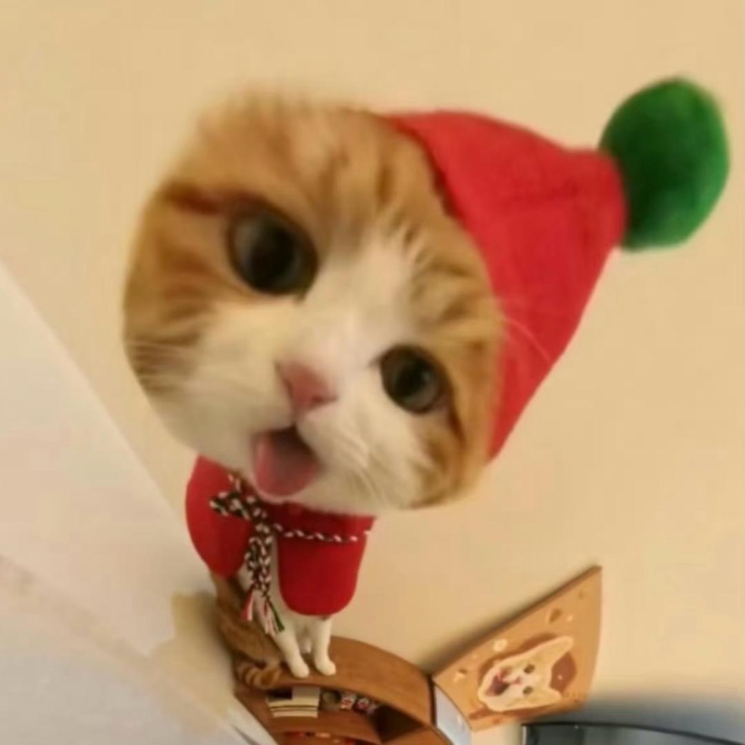 圆⁶⁶