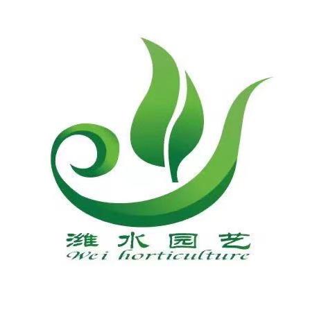 姜睿-潍水园艺