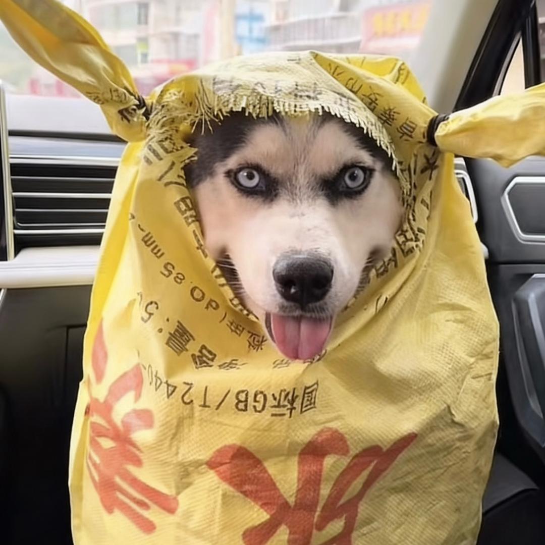 爱与诚