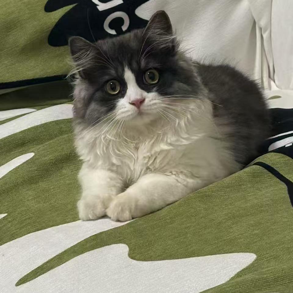明天会更好