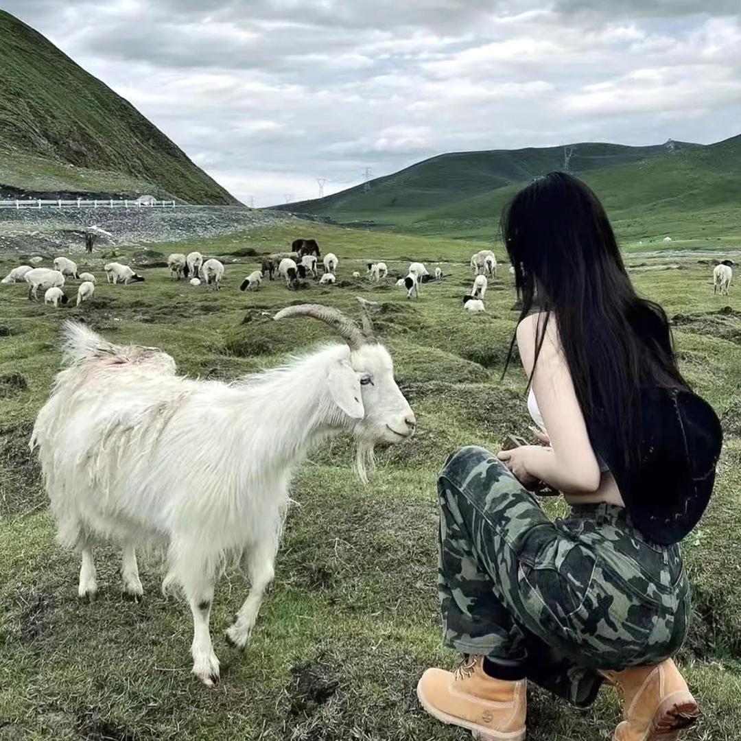 函