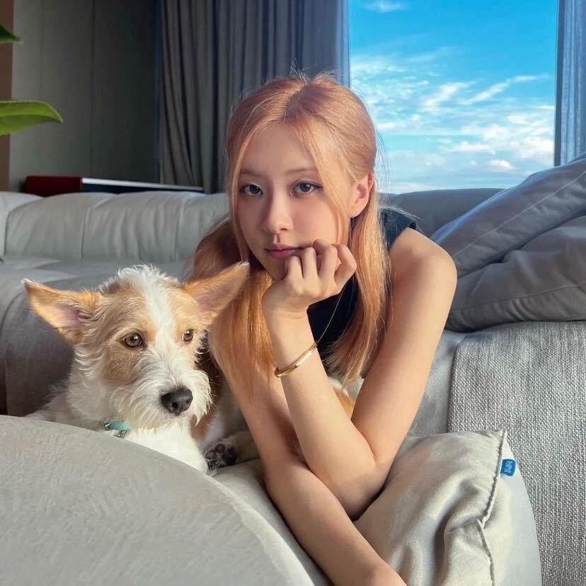 樱桃大丸子🍒