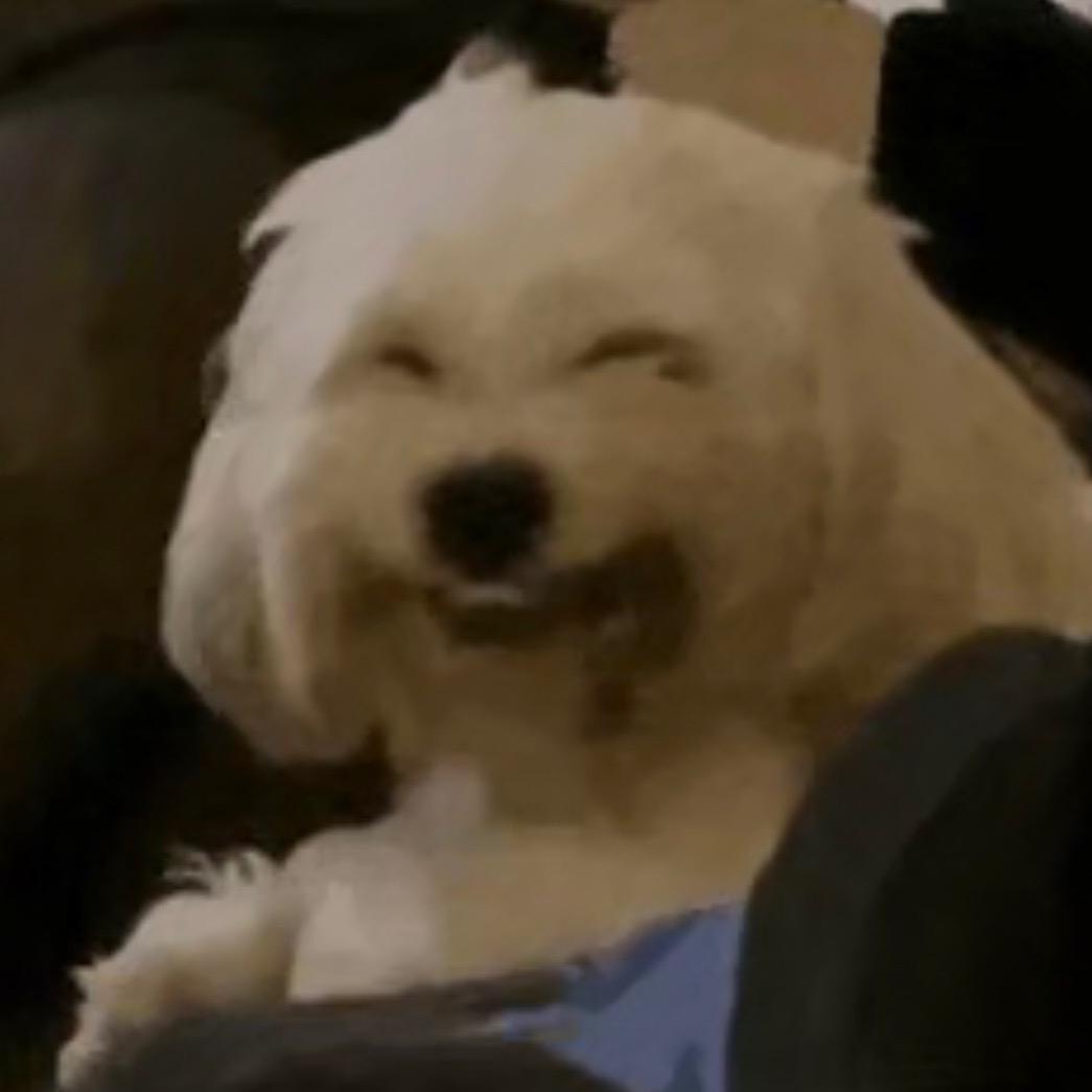 一君羊又鸟的照片