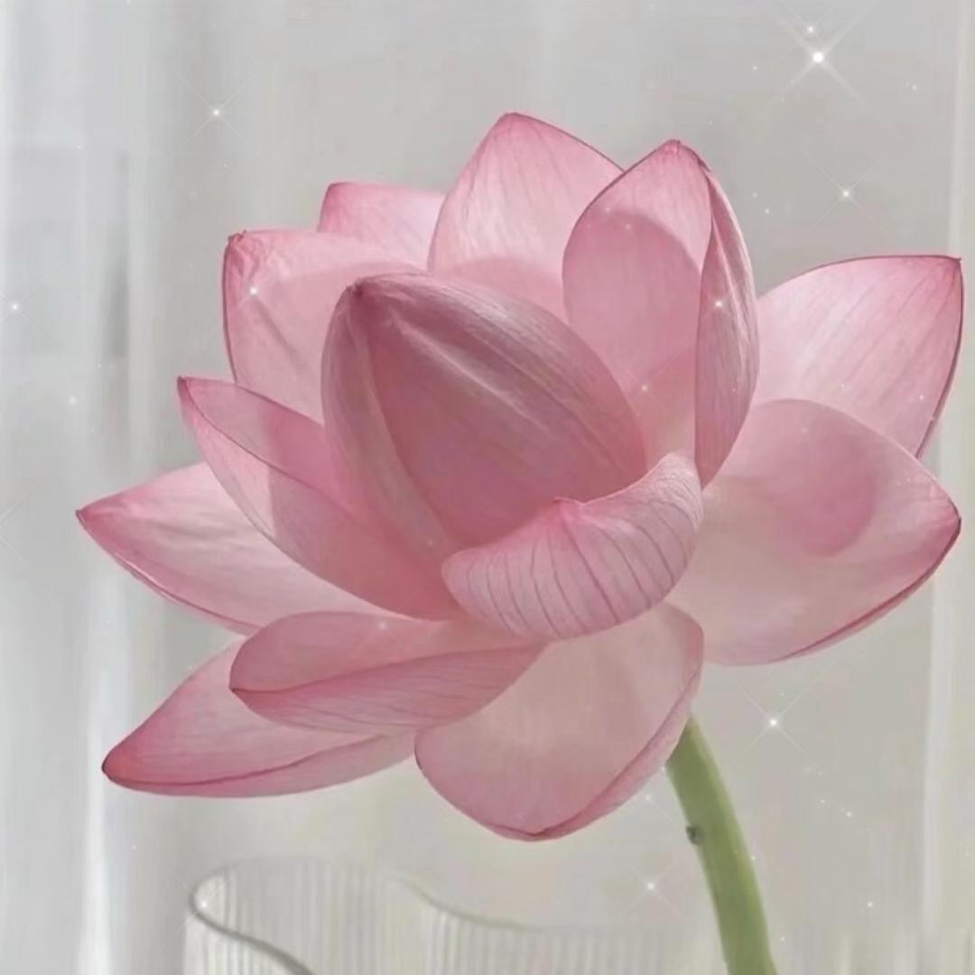 露姐
