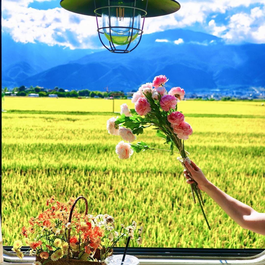 柠檬香茅