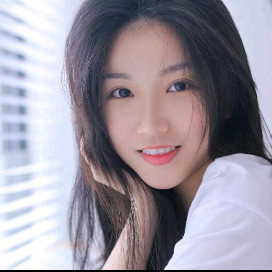 森林林木木