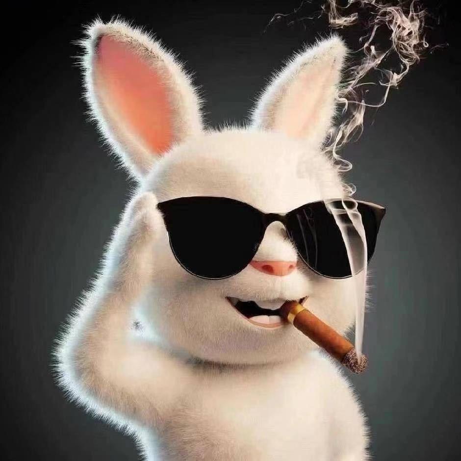 职场福寿螺🐷🐷🐷