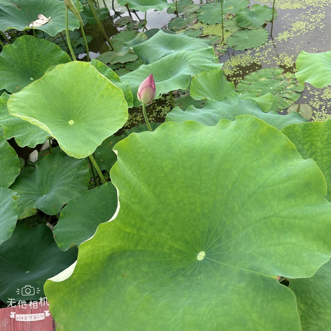 💕ঞ᭄悦己ꦿഒᩚ࿐: