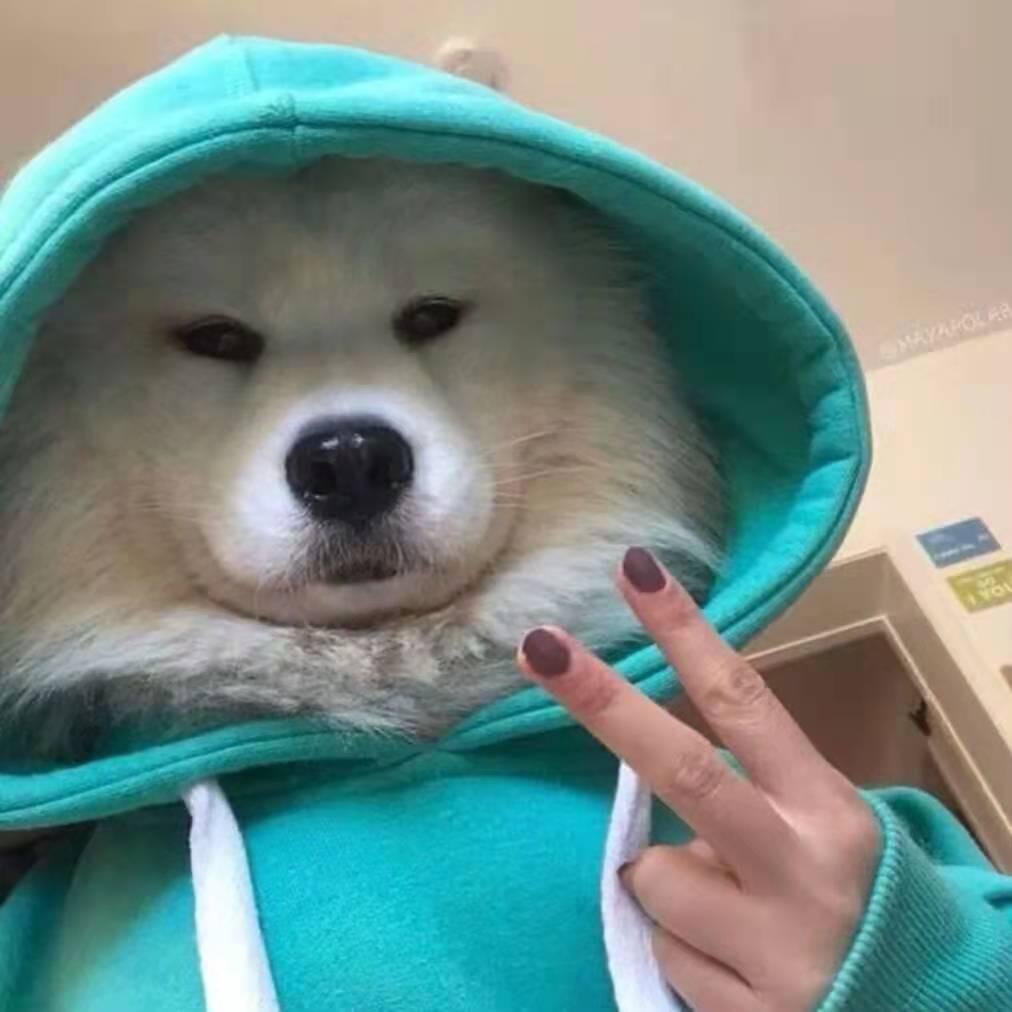 is头像