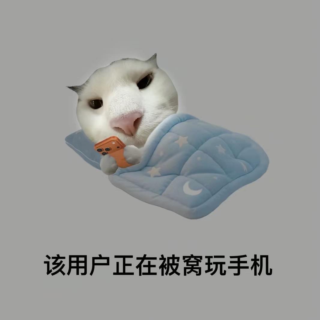Aaaa丸子.