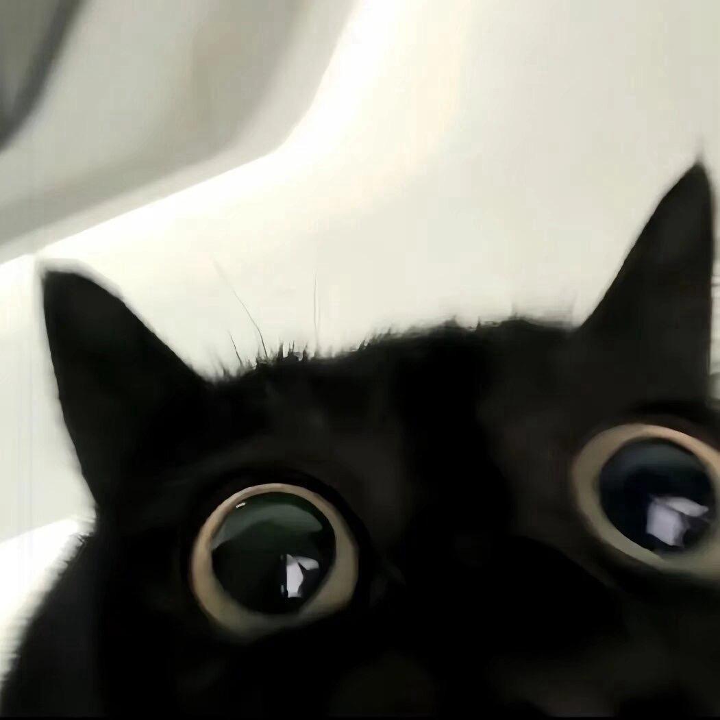 1001