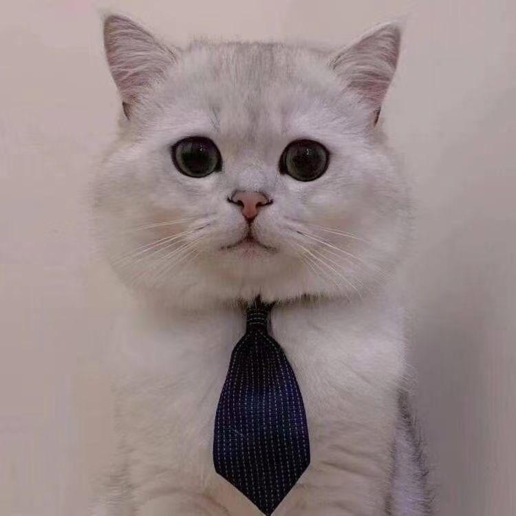 谶‖破茧
