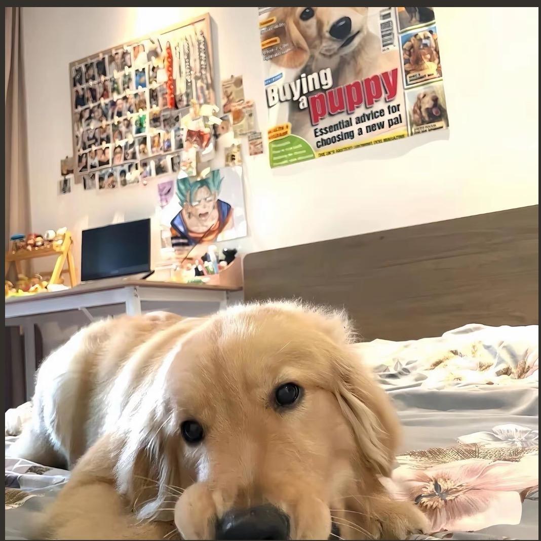 oooo小陈