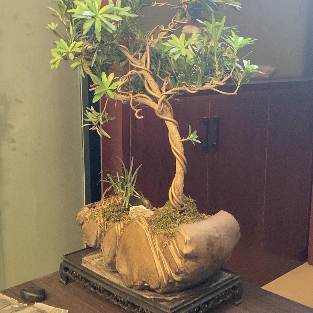 焕星（二焕）