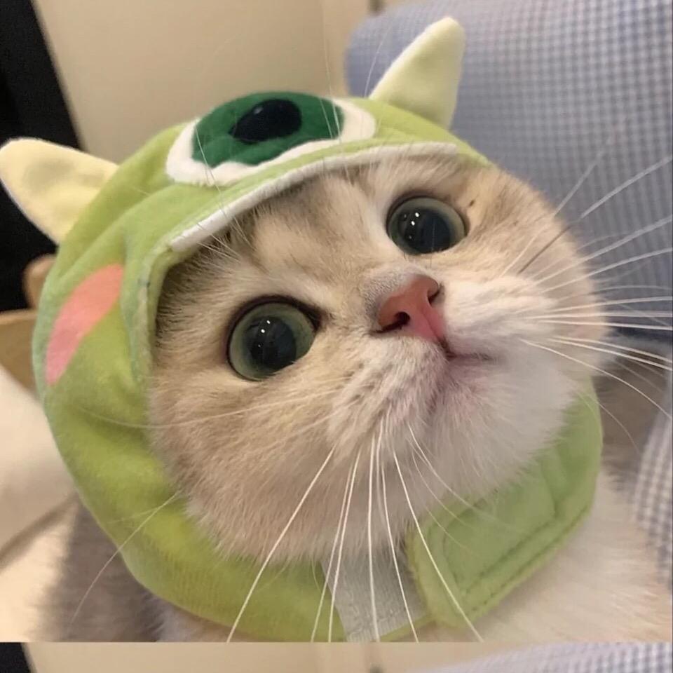 小蝴蝶高跟鞋