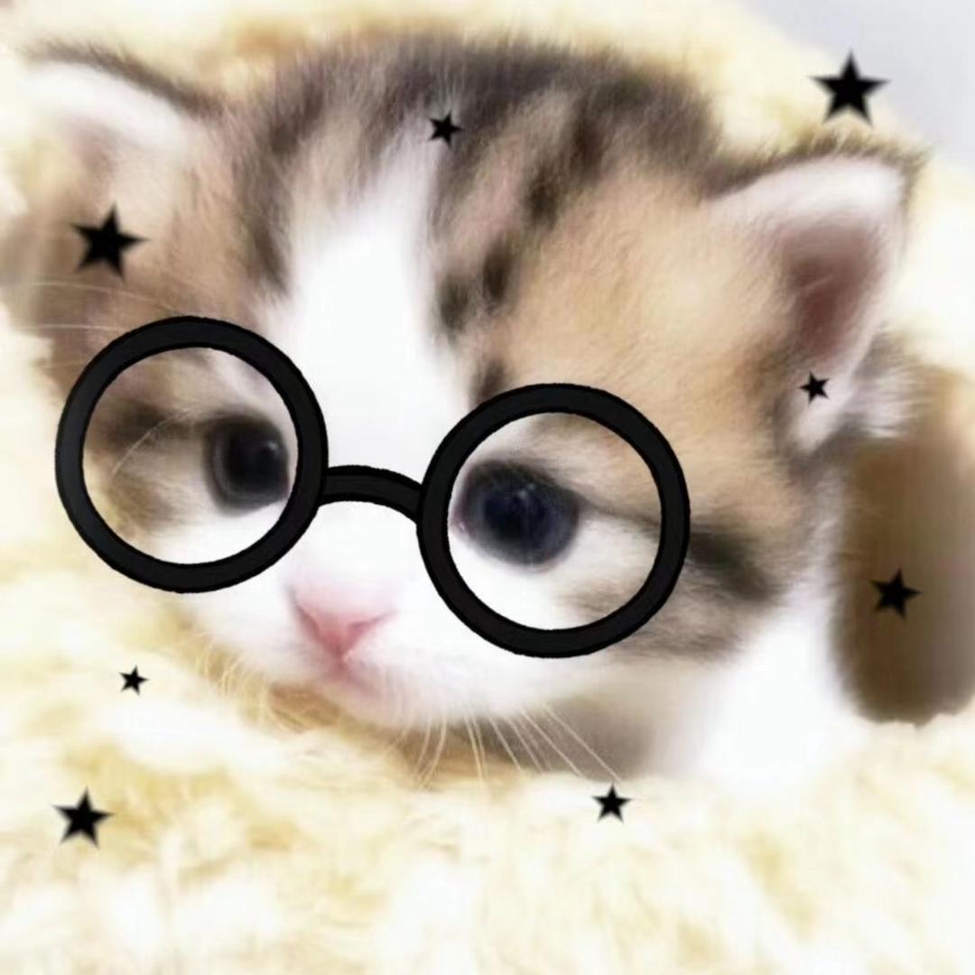 電子猫猫幽灵