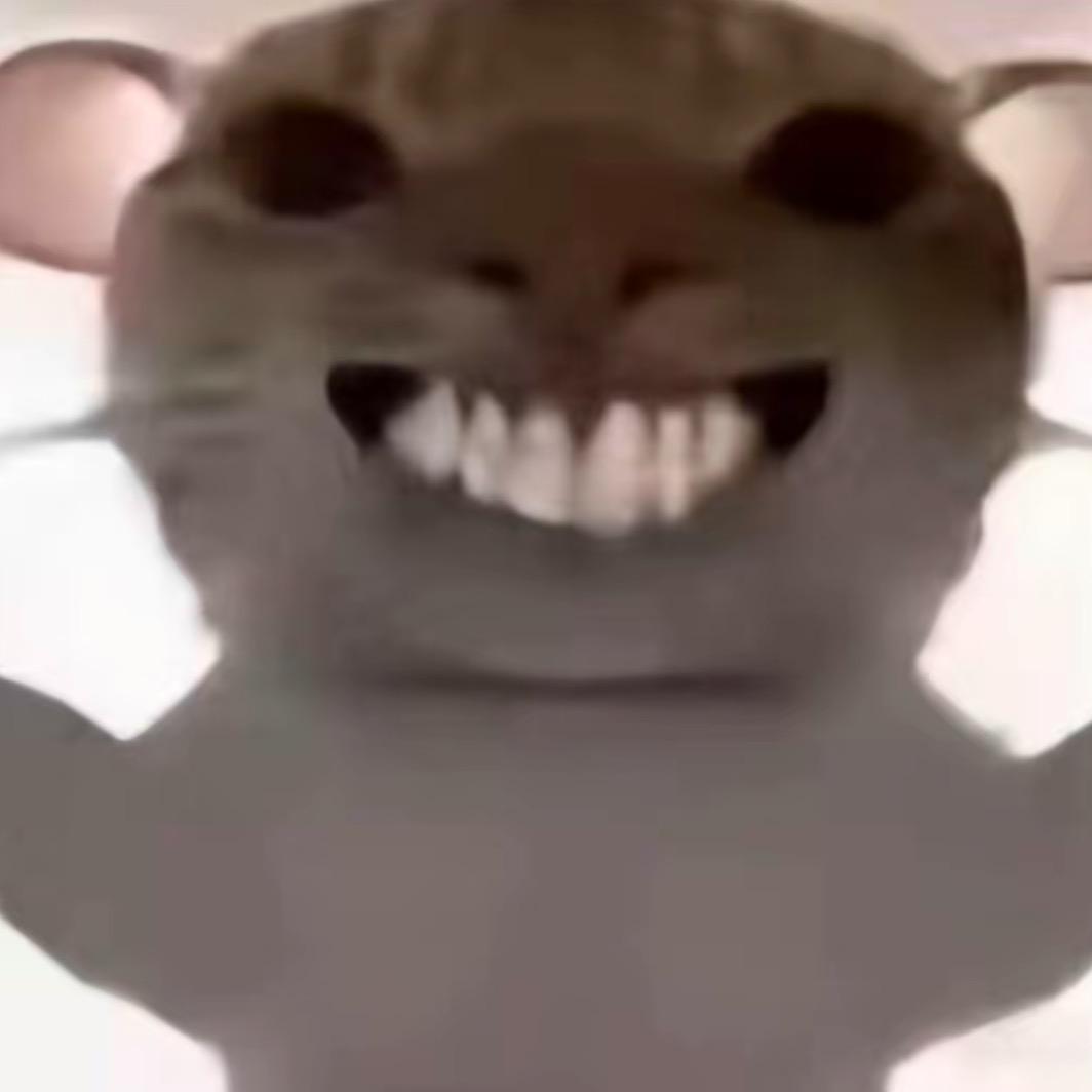 蚂蚁