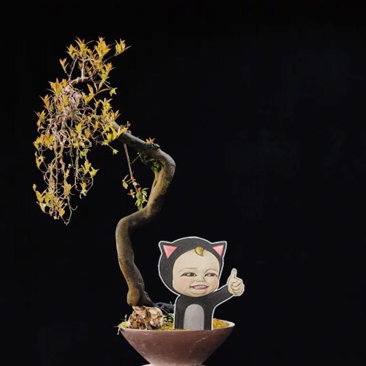 大一姐花草荟