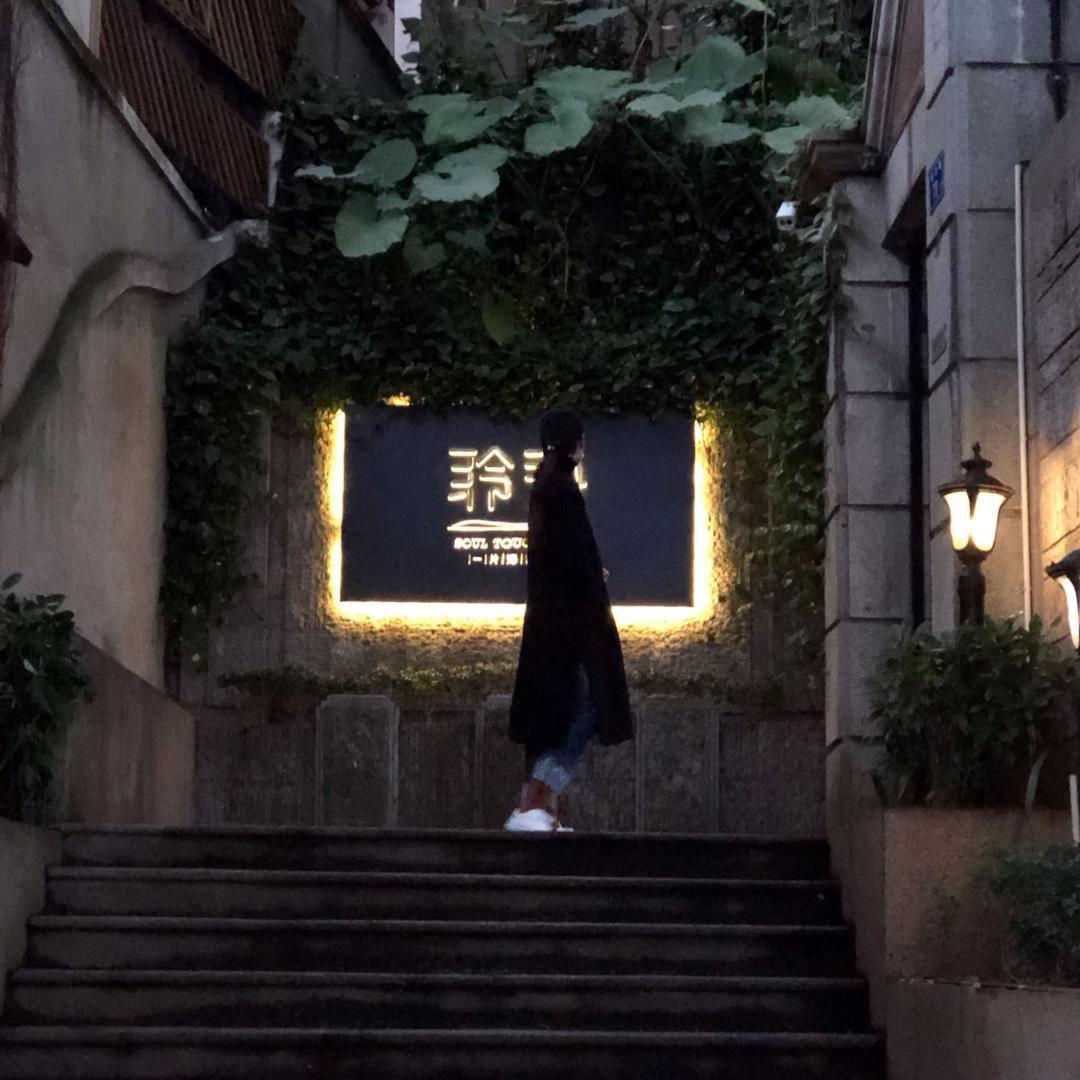 大明湖畔凌乱的三苏小菊花