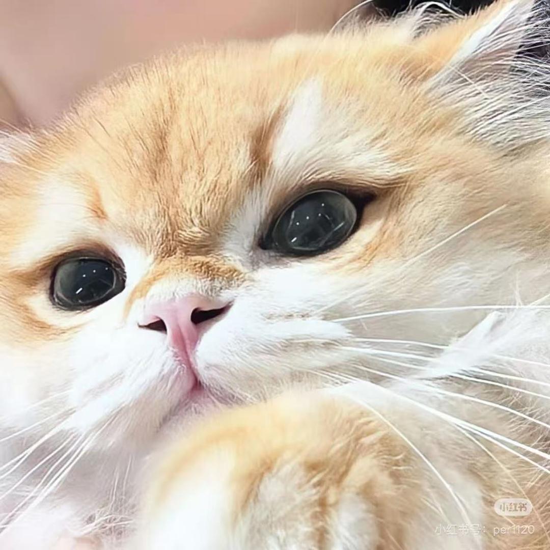 真诚才是必杀技