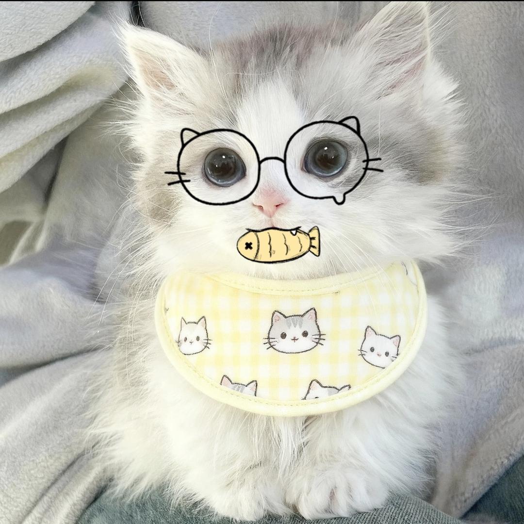 新玩伴