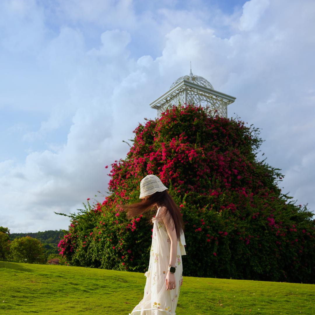 又是被迫上班的一天