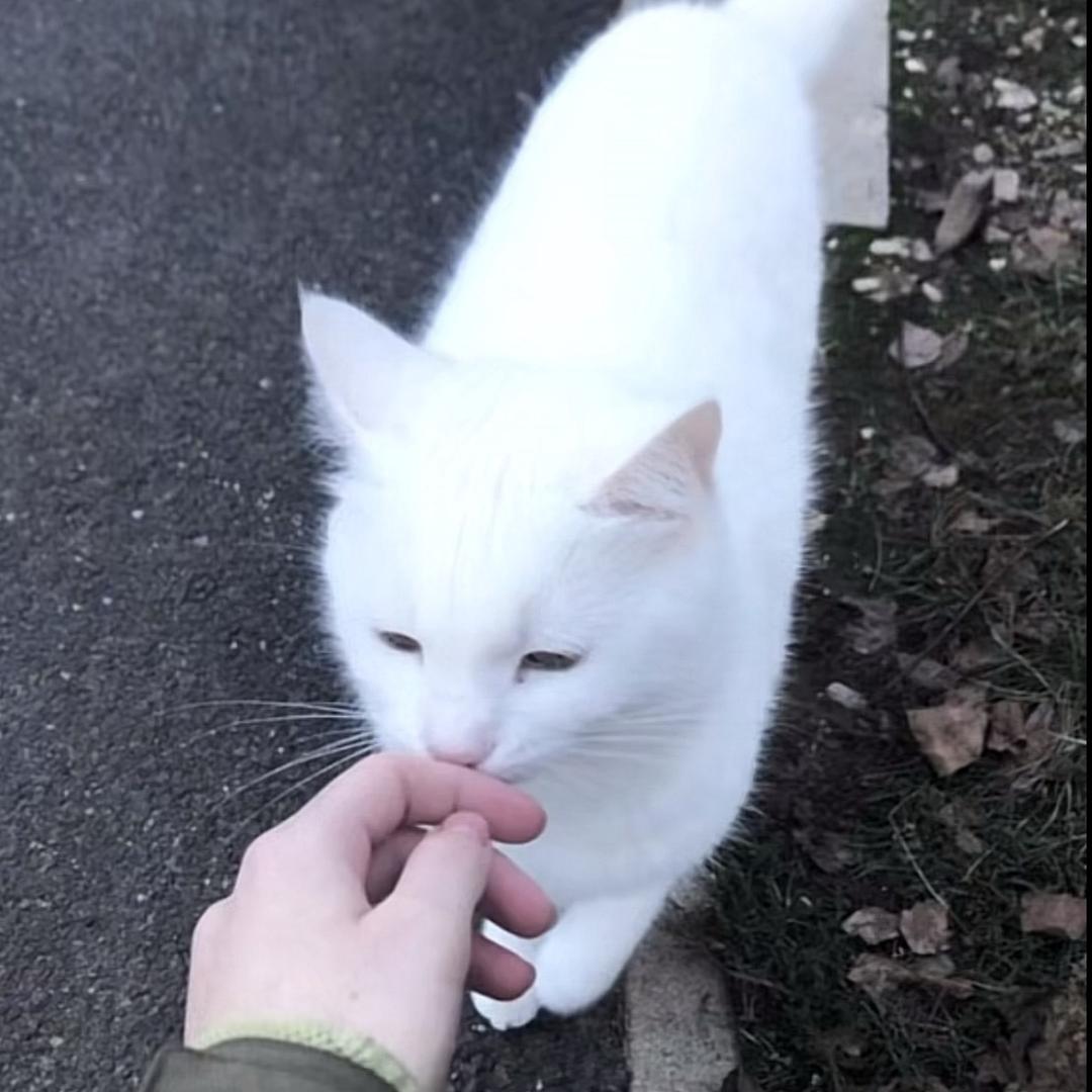 雪千寻.