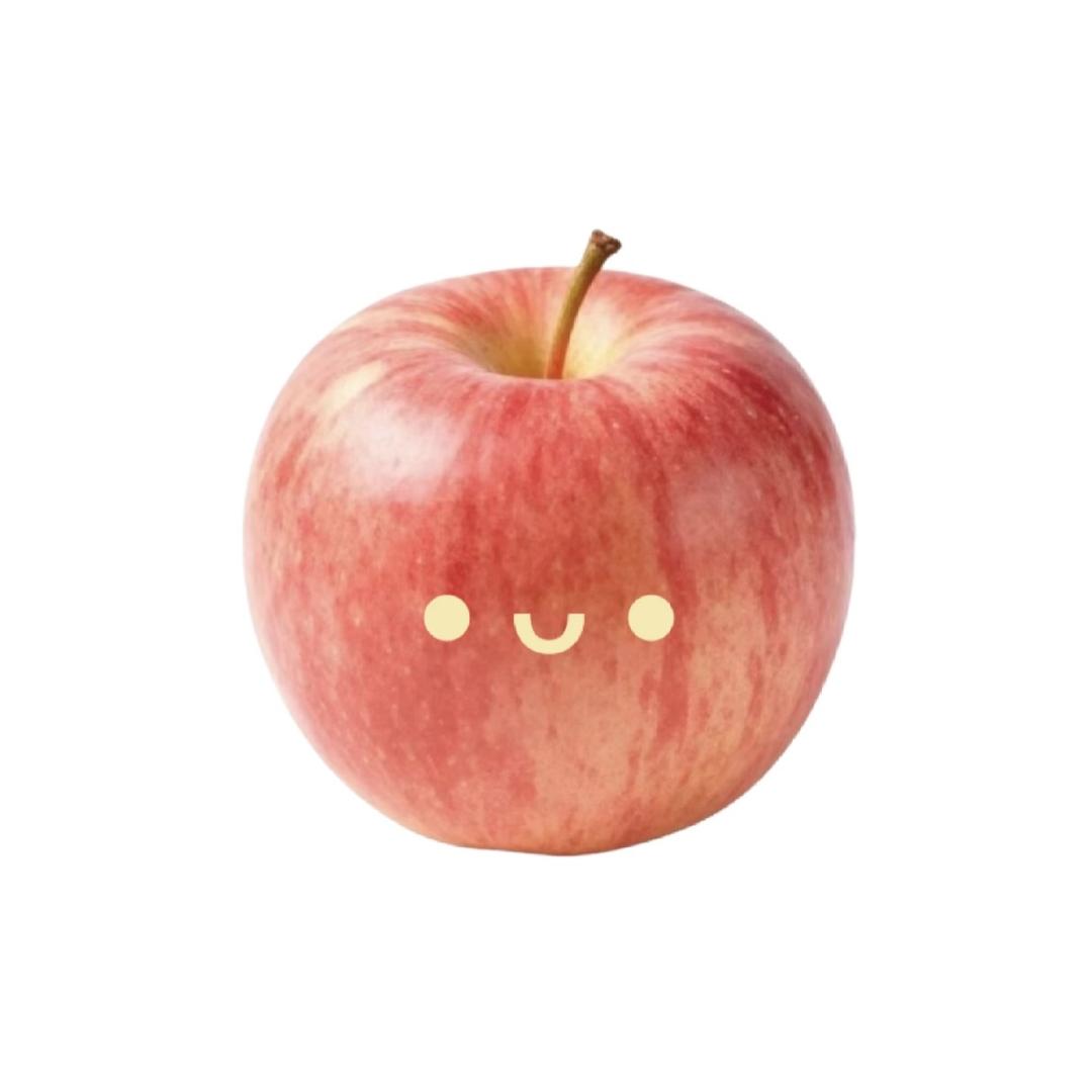 算了你也不懂我