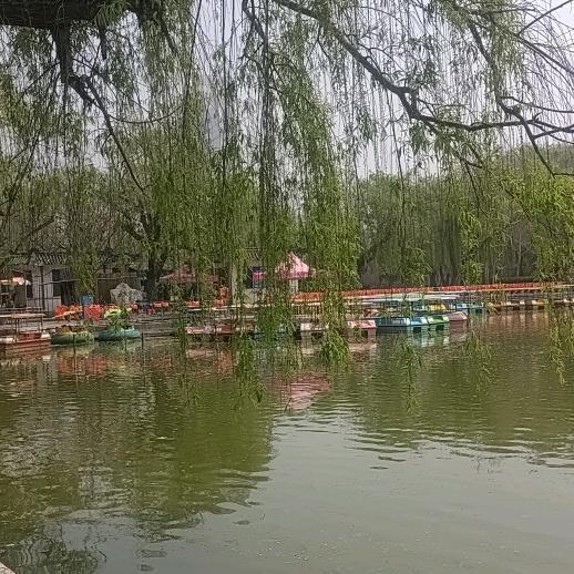 天空的云