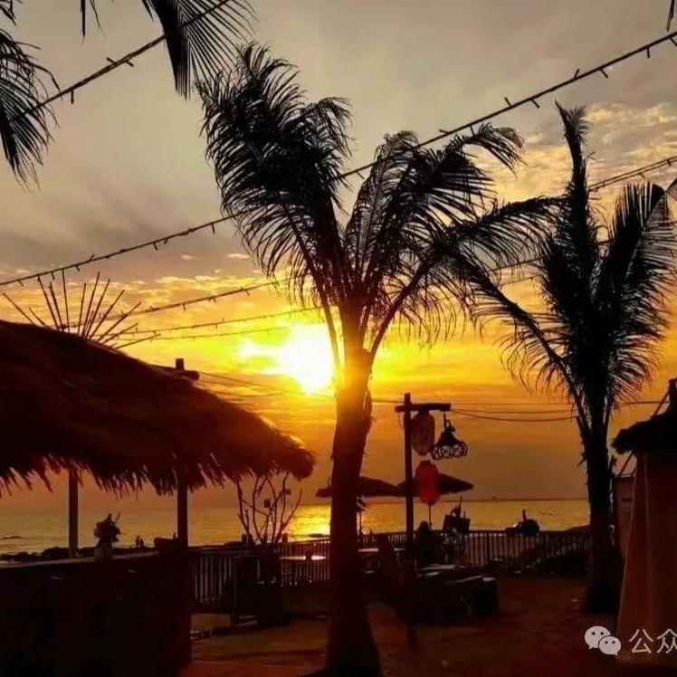 A🇻🇳
