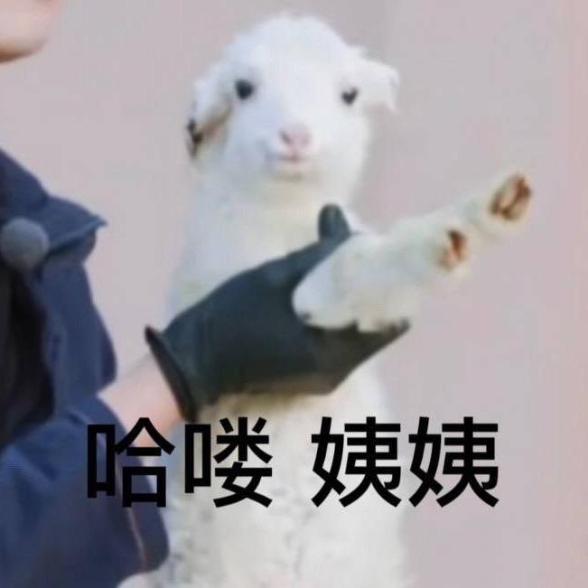 阿葵_Luuu🌽（正经版）