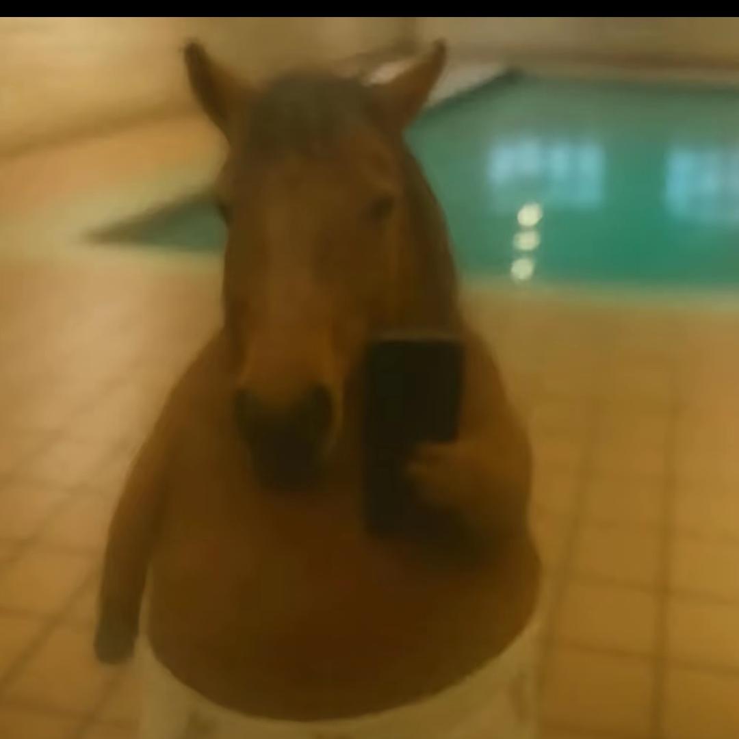 到底在装什么搞不懂