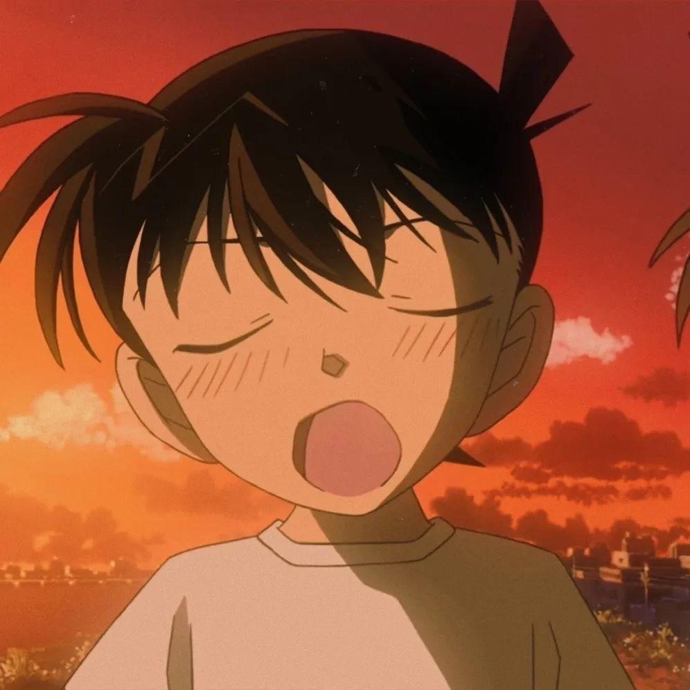 江户川(三角洲行动)