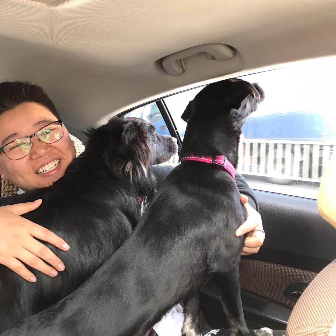 曾狗（俩黑狗的日常）